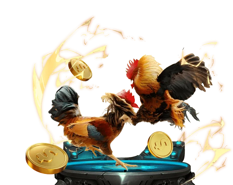 Chương Trình VIP và Khách Hàng Thân Thiết